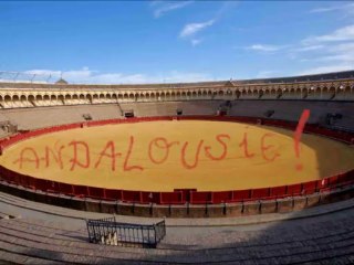 Jeunes professionnels NDVie été 2013