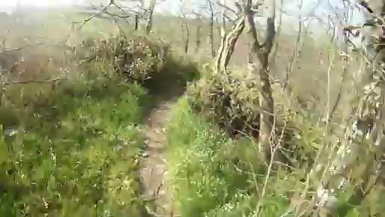 Espace VTT des Coteaux du Layon