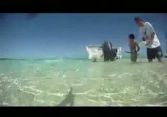 Snorkeling in New Caledonia 001 - YouTube