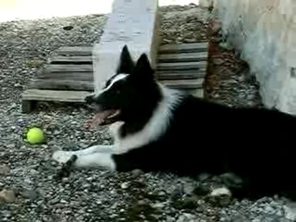 Video 2
