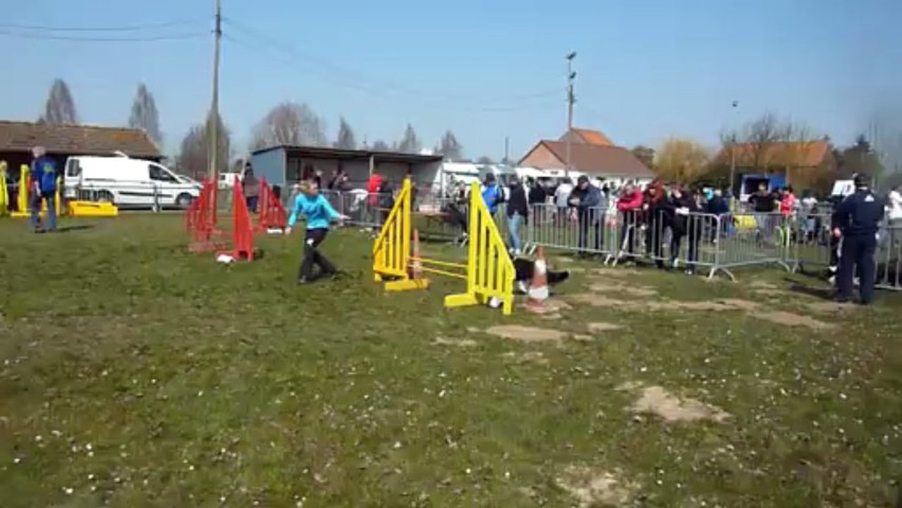 Jumping + à Mastaing le 7 avril 2013