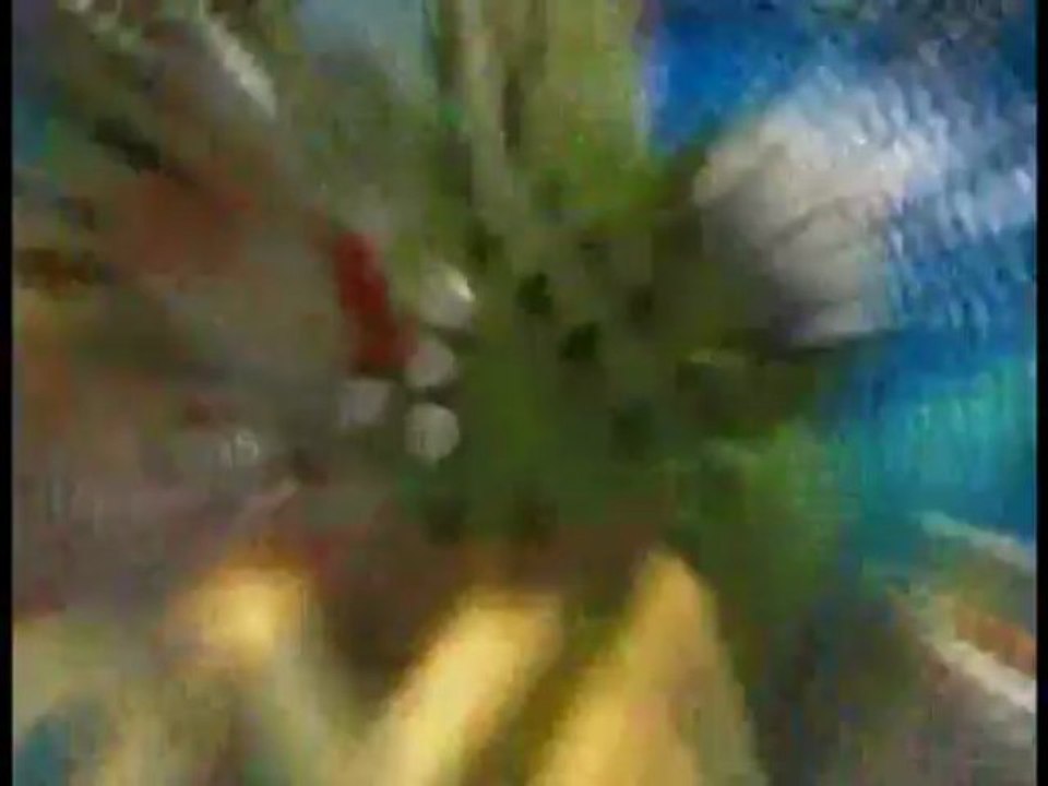 2006年　CM集2