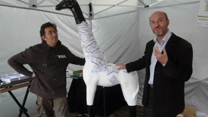 rush du bapteme de twiga la girafe de bataille