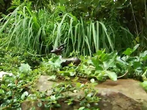 0803 - Promenade poétique