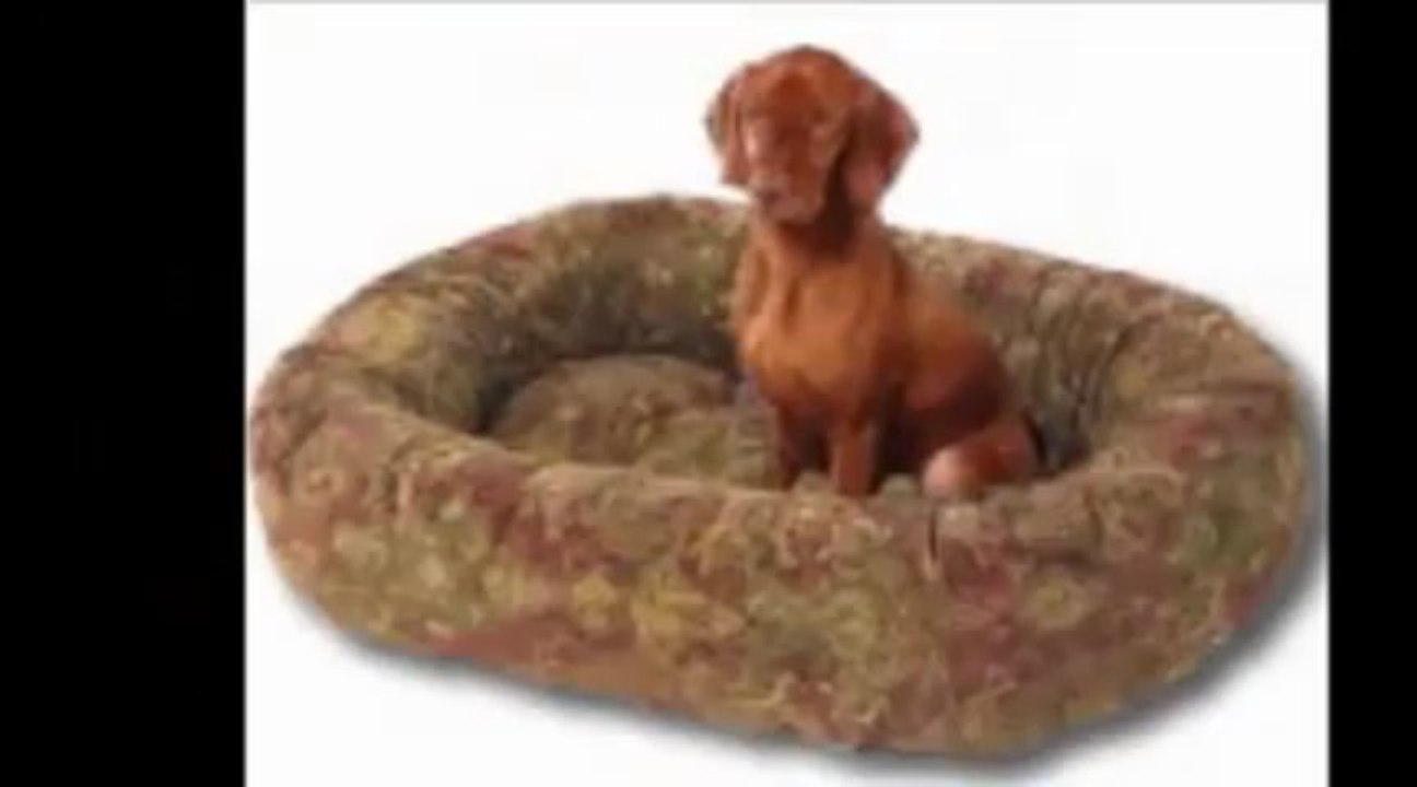 Pets products