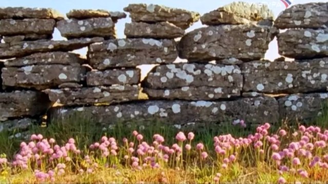 Остров Эланд. Сад Цветов в Каменной Пустыне