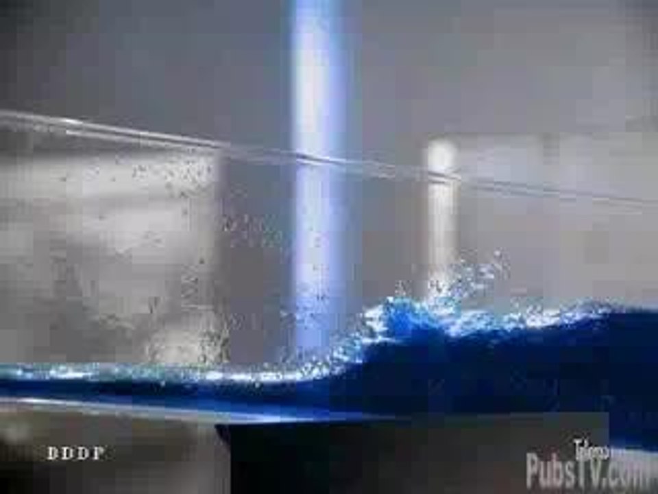 Fast huître