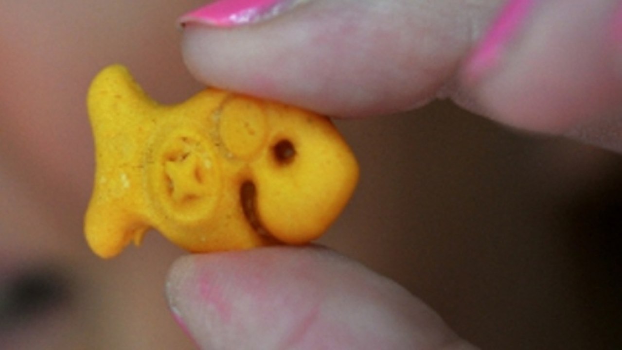 Florida Woman Sees Sign from God in a Goldfish Cracker