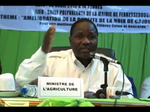 RTI 1 du 08 Avril 2013 RTI - Radiodiffusion Télévision Ivoirienne