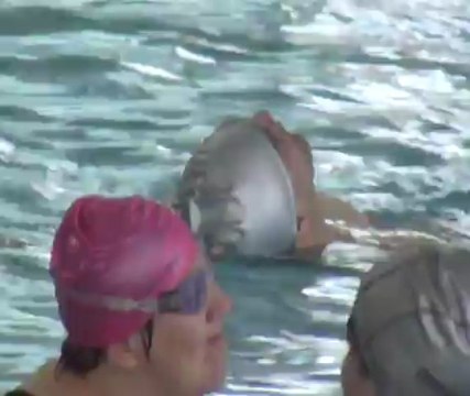 Vidéo piscine Mérignac CAJ AFTC