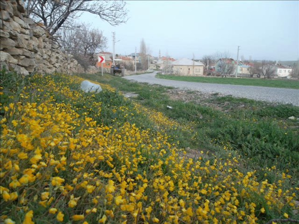 BİZİM KÖYÜMÜZ