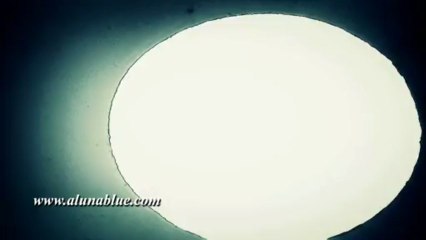 Stock Video - Picture Start 04 clip 02 - Video Backgrounds - Stock Footage