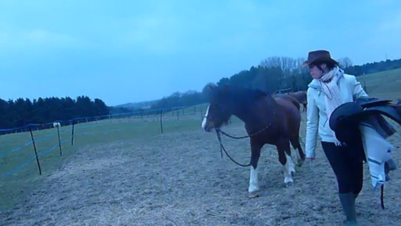 Vinnie, première "re"monte, 8 avril