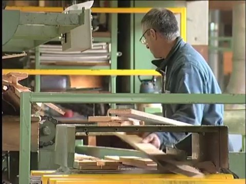 Scierie Lion CM-amplepuis