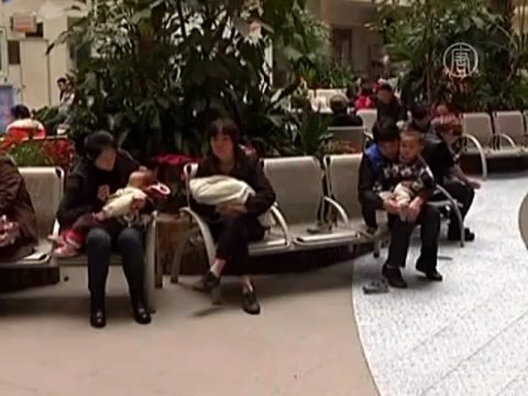 Стоит ли бояться птичьего гриппа H7N9?