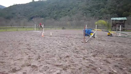 Premiers passages Véo ligne 8 avril 2013