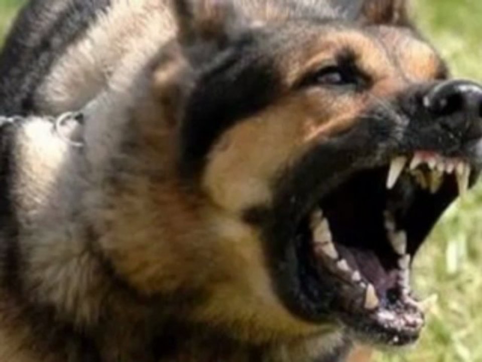 Tommy Sotomayor & His YouTube Amazing Friends