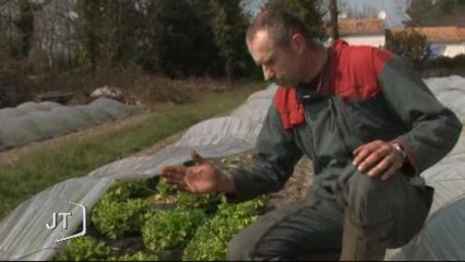 Météo : Inquiétude pour les maraichers (Vendée)