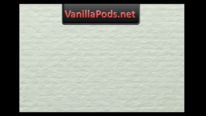 3 Easy Tips For Using Vanilla Pods