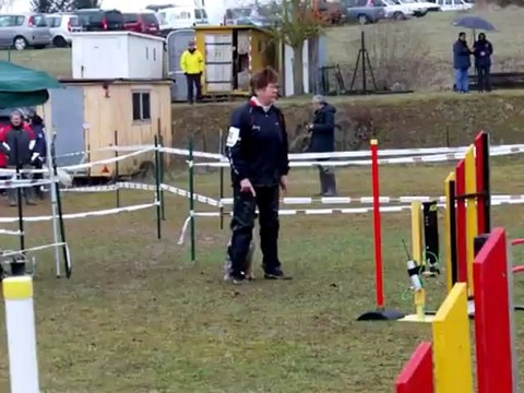 E'Lia des grandes aubes, agility, jarny 2013, open