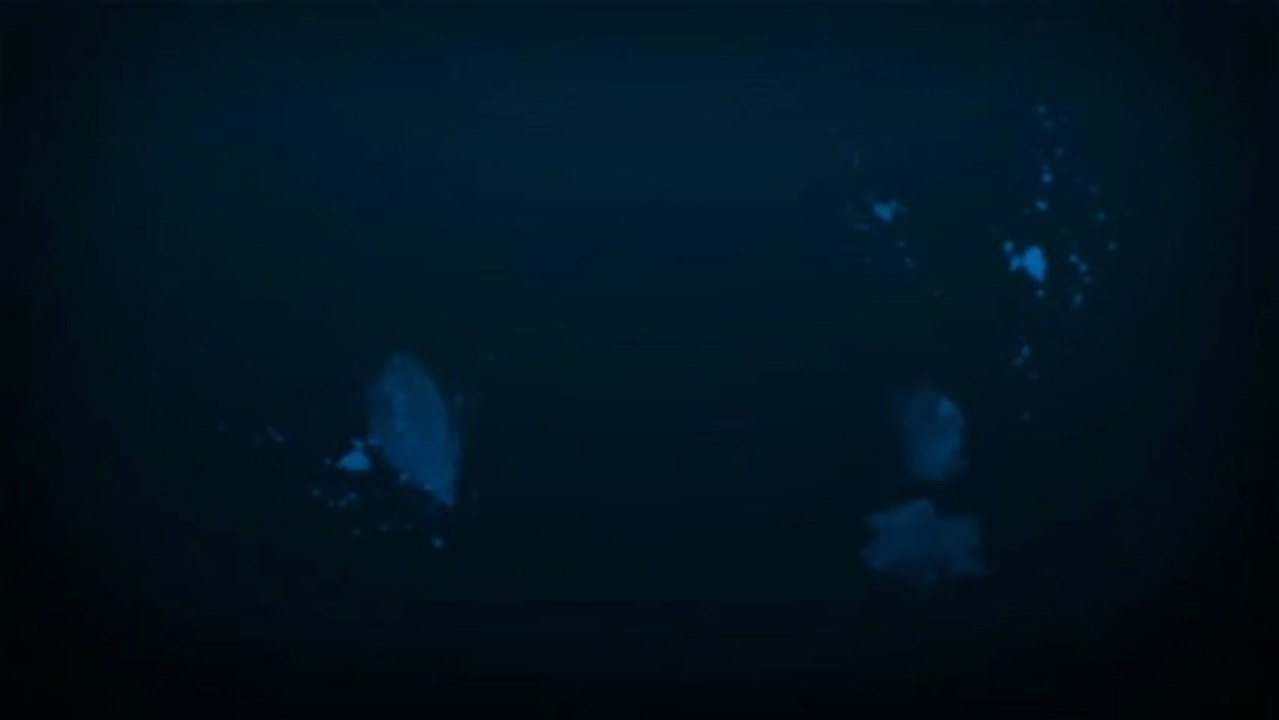 Long beach pest control