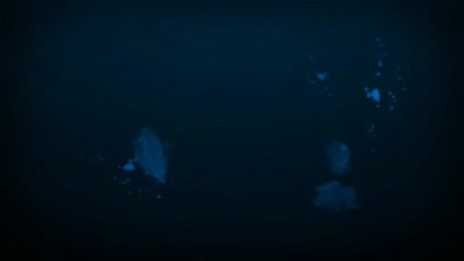 Long beach pest control