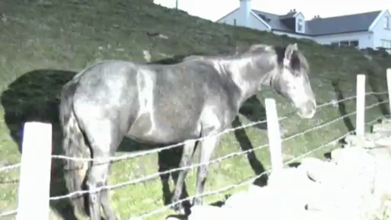 New01.mpg Irelande 5