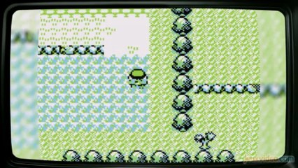 Le Fond De L'Affaire - Pokémon - Secrets de développement