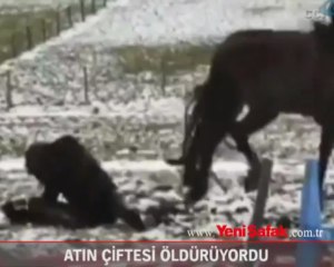 Atın çiftesi öldürüyordu!