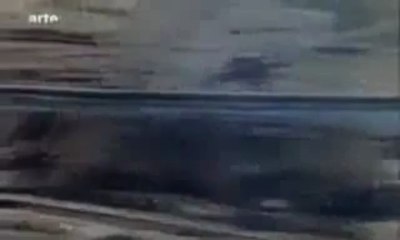 Les héritiers du Dr mengele - Partie 1 de 2