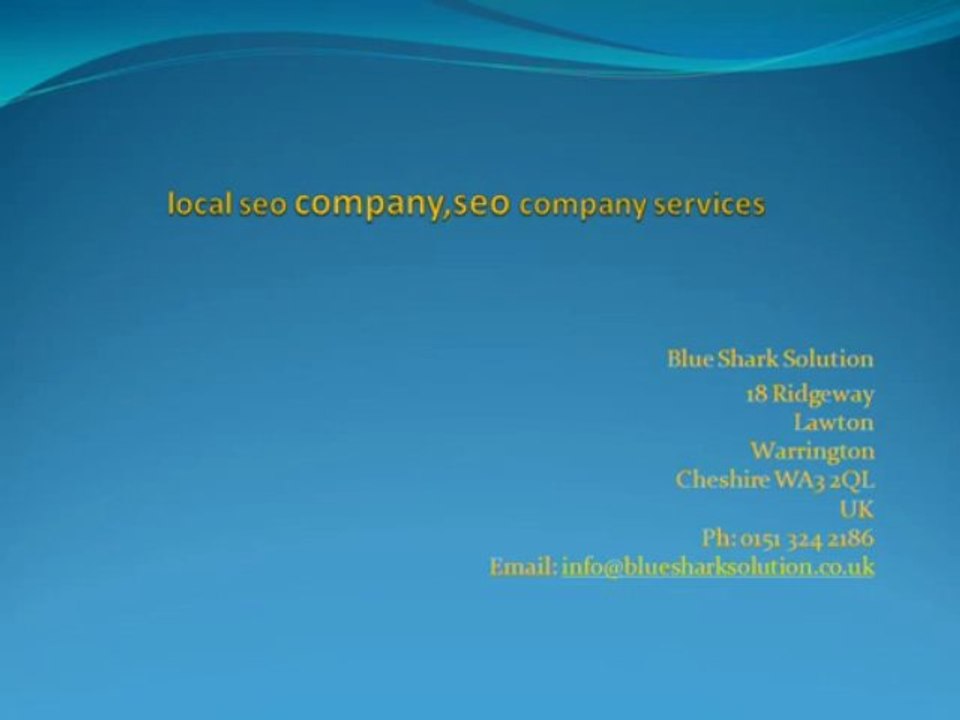 local seo company,seo company services