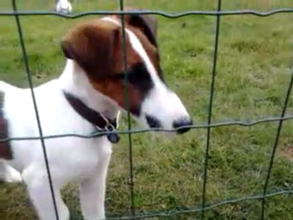 Ilton Du Castel Des Près