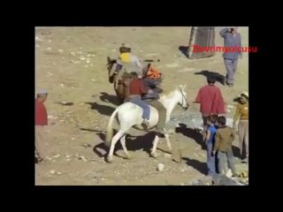 Her Agacin Kurdu Özünden Olur _ Tonguç Vural