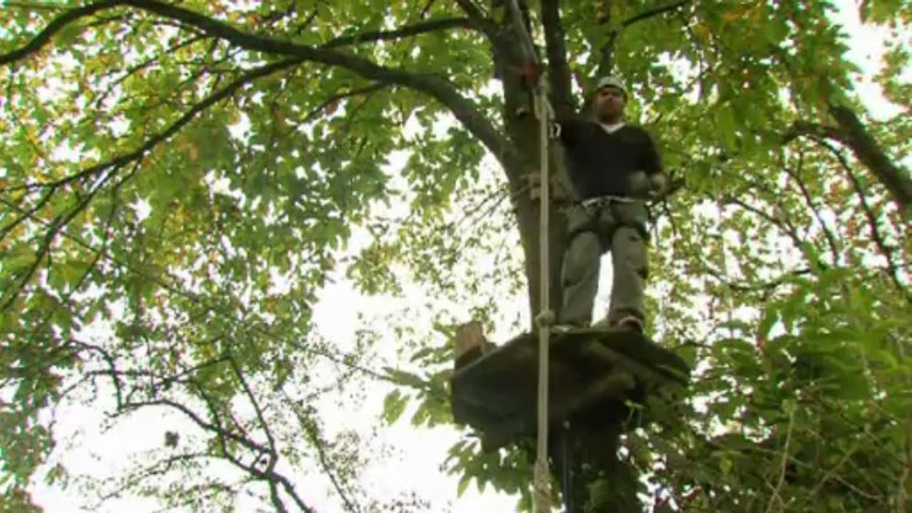 Reportage de la chaine régionale Tébéo sur le parc de loisirs Karaez Adrenaline : http://www.karaezadrenaline.com/