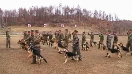 CoréeNord: propagande anti sud-coréenne à la télévision d'Etat