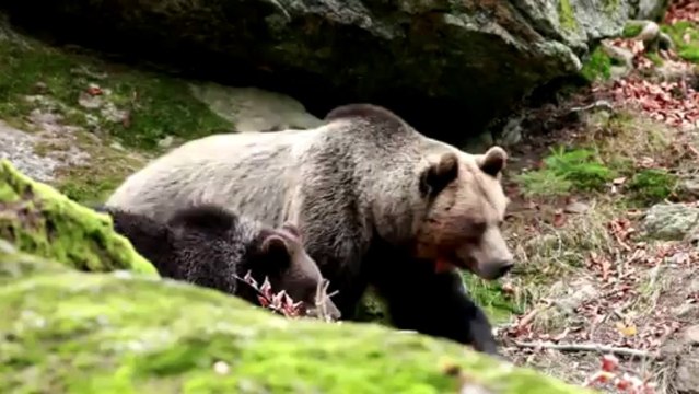 Slovakia will host the Concours Mondial de Bruxelles 2013