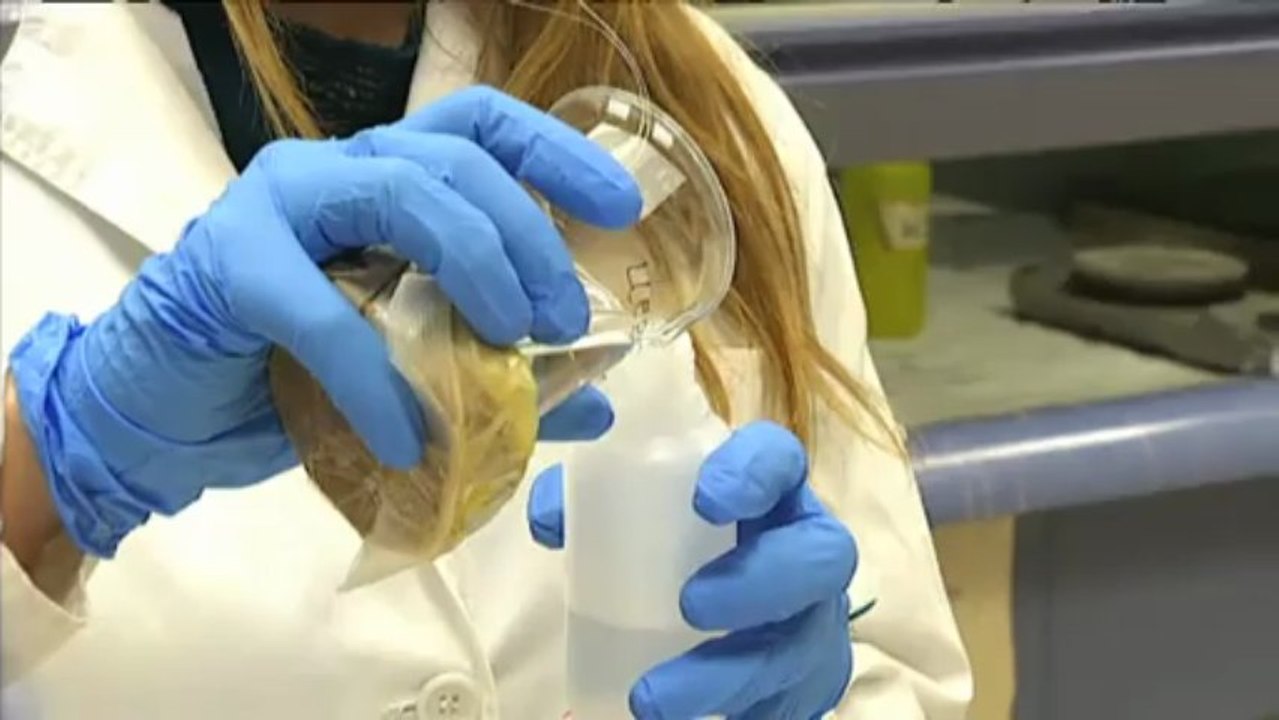 El medi ambient - Desglaç i captura de carboni a l'Àrtic