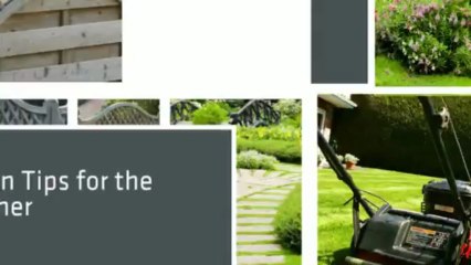 Garden Maintenance Tips for Summer