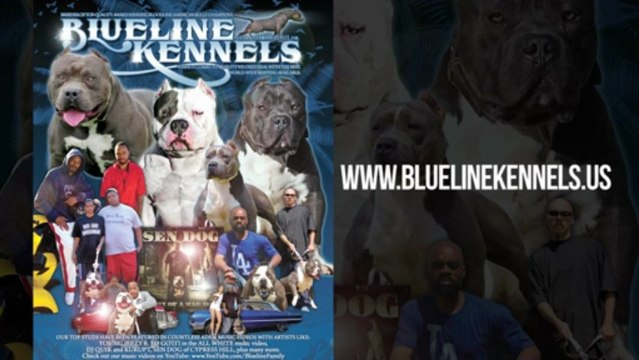 Blue Line Kennels Presents Beats & Bullies Documentary-Dvd Teaser starring Kurupt, Daz Dillinger, Wiz Khalifa, E-40, Terrace Martin & Snoop Dogg