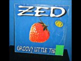 ZED - GROOVY LITTLE THING (12