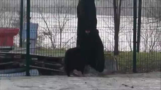 Grimoire des Légendes Lorraines - Obéissance ! Suite sans Laisse