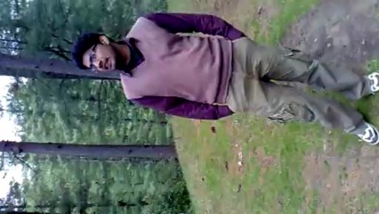 dil n tum ko chun lia ha song