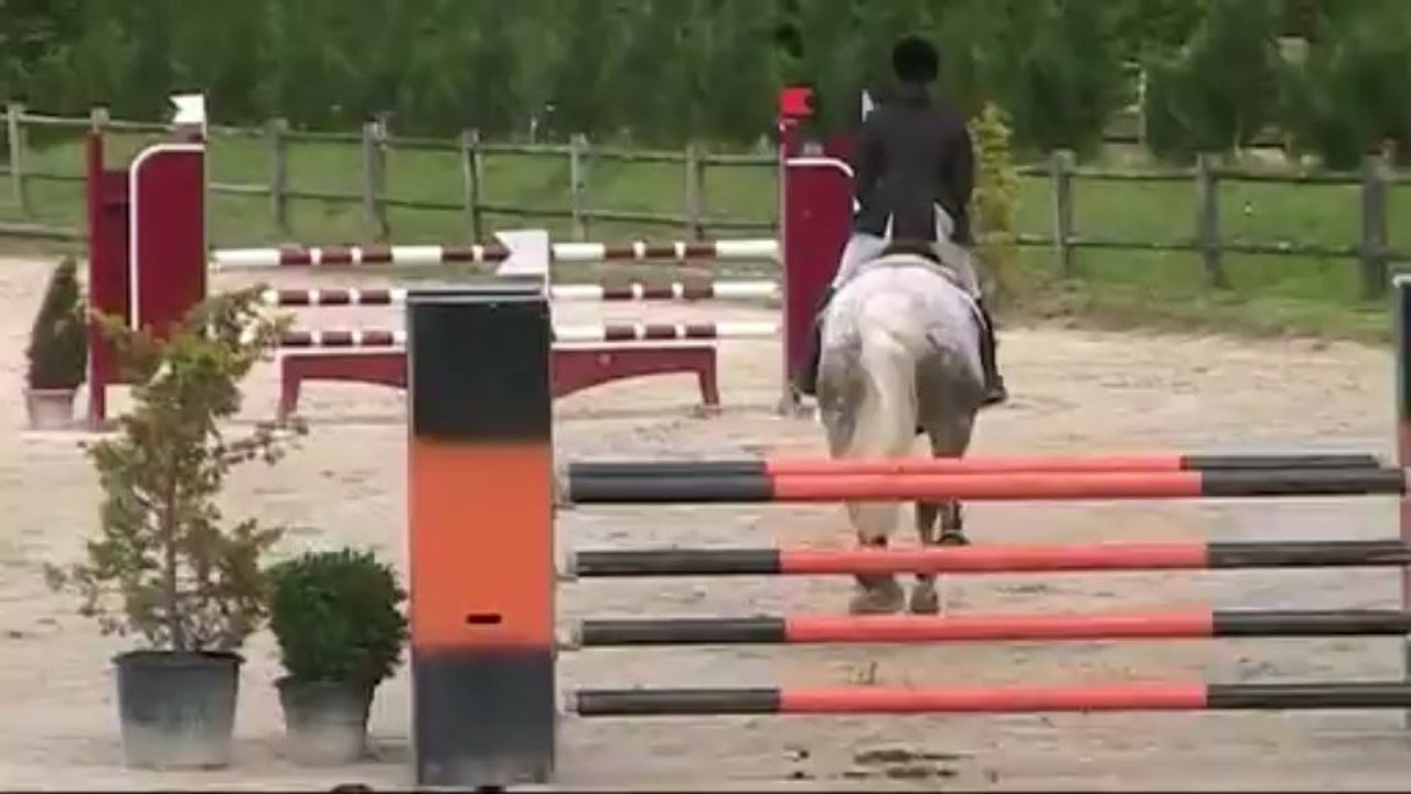 Quicy cso le mans 110 juin 2012