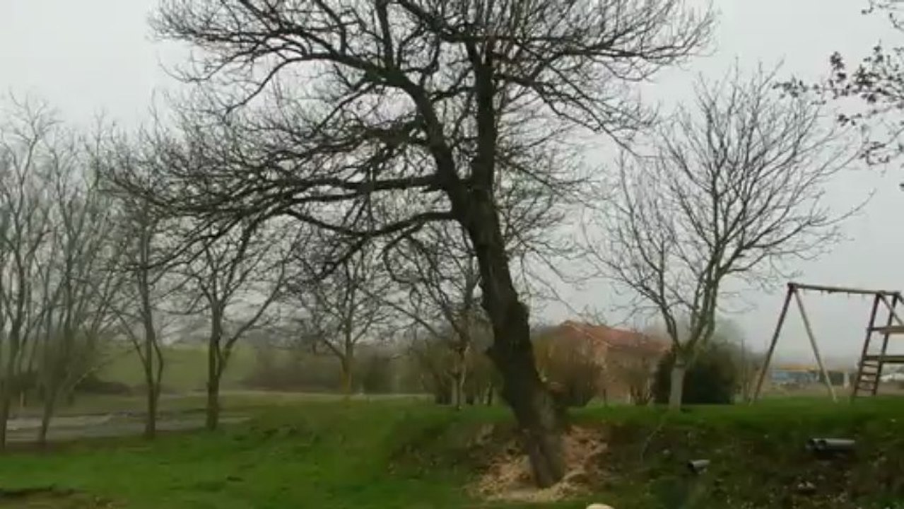 Chantier verger à la Coussedière