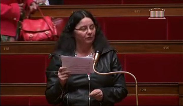 Projet de loi réformant le mode de scrutin des conseillers territoriaux