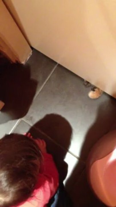 jeu de pattes