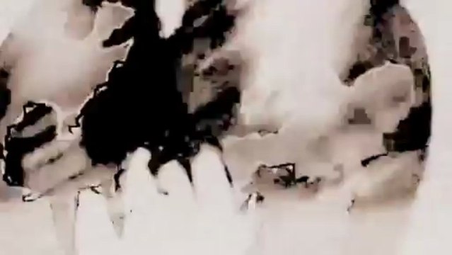 Cannabis-Sativa-and-the-Mechanical-Galaxy-The-Madcap-Maze-(2012-studio-version)[ savevid.com]