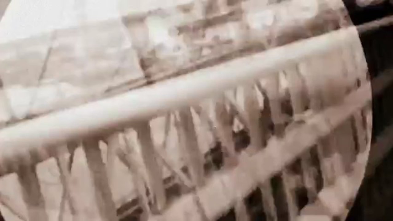 Cannabis-Sativa-n-The-Mechanical-Galaxy-Heavenly-Blue[www.savevid.com]