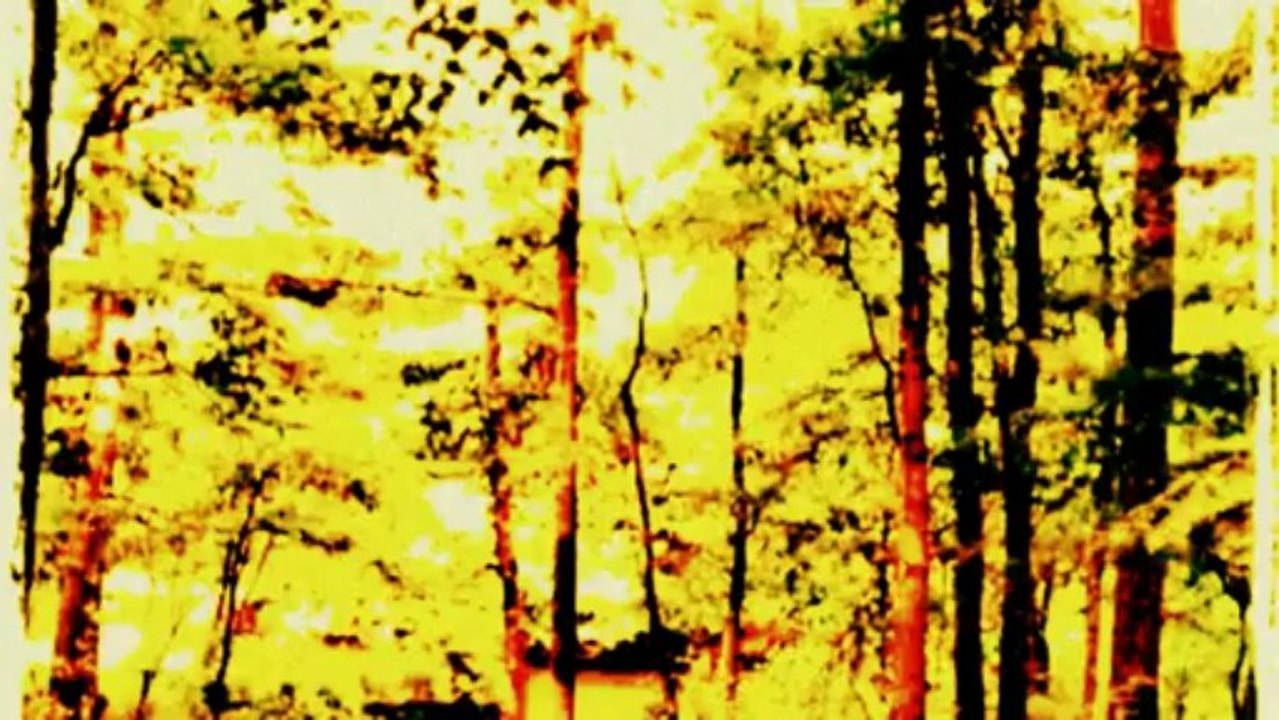 Cannabis-Sativa-and-The-Mechanical-Galaxy-Out-of-View[www.savevid.com]