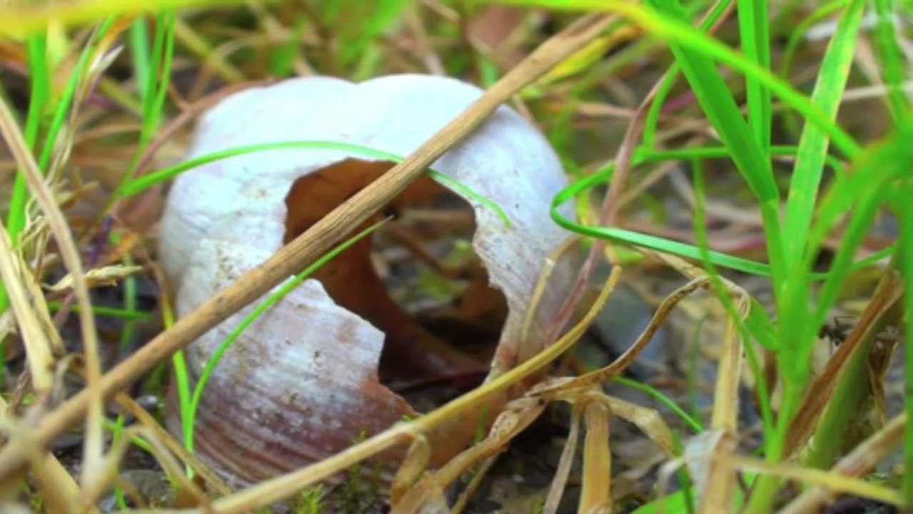 SLOW · Kino Trailer (Deutsch)